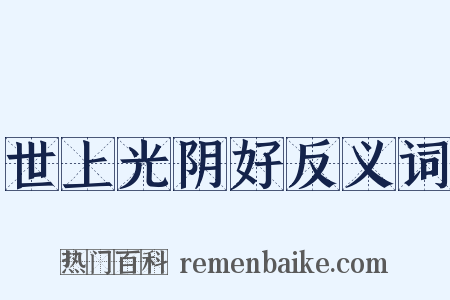 世上光阴好反义词是什么意思的图片